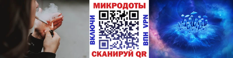 Галлюциногенные грибы Psilocybe Камышин