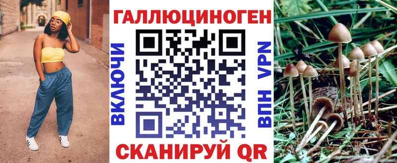 Псилоцибиновые грибы Psilocybe  как найти наркотики  Камышин 